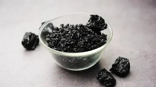 Shilajit-Supplements-Harnessing-Ancient-Wisdom-for-Modern-Vitality OrganiMAXX.