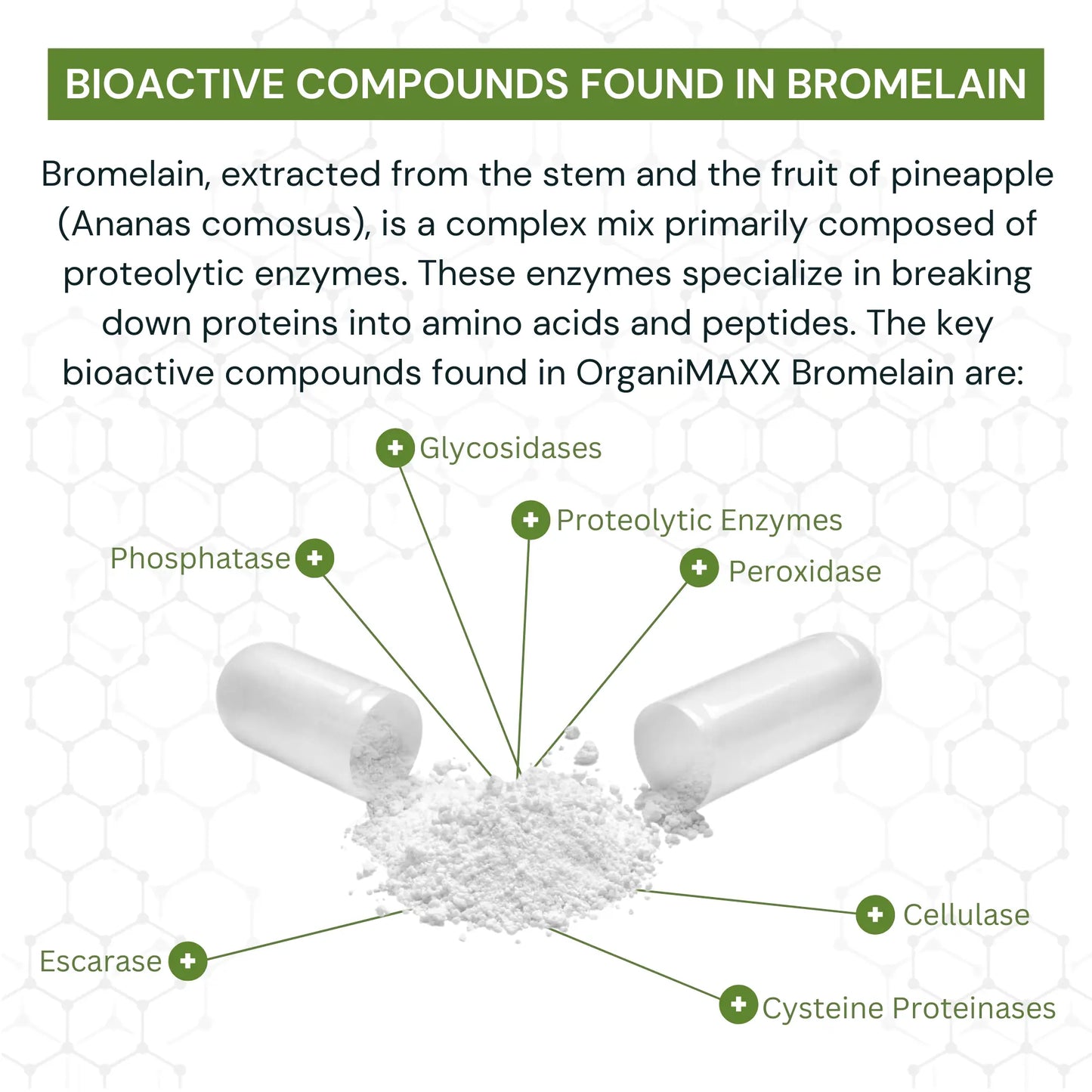 OrganiMAXX Certified Organic Bromelain Capsules 500 MG - 60 Count OrganiMAXX.