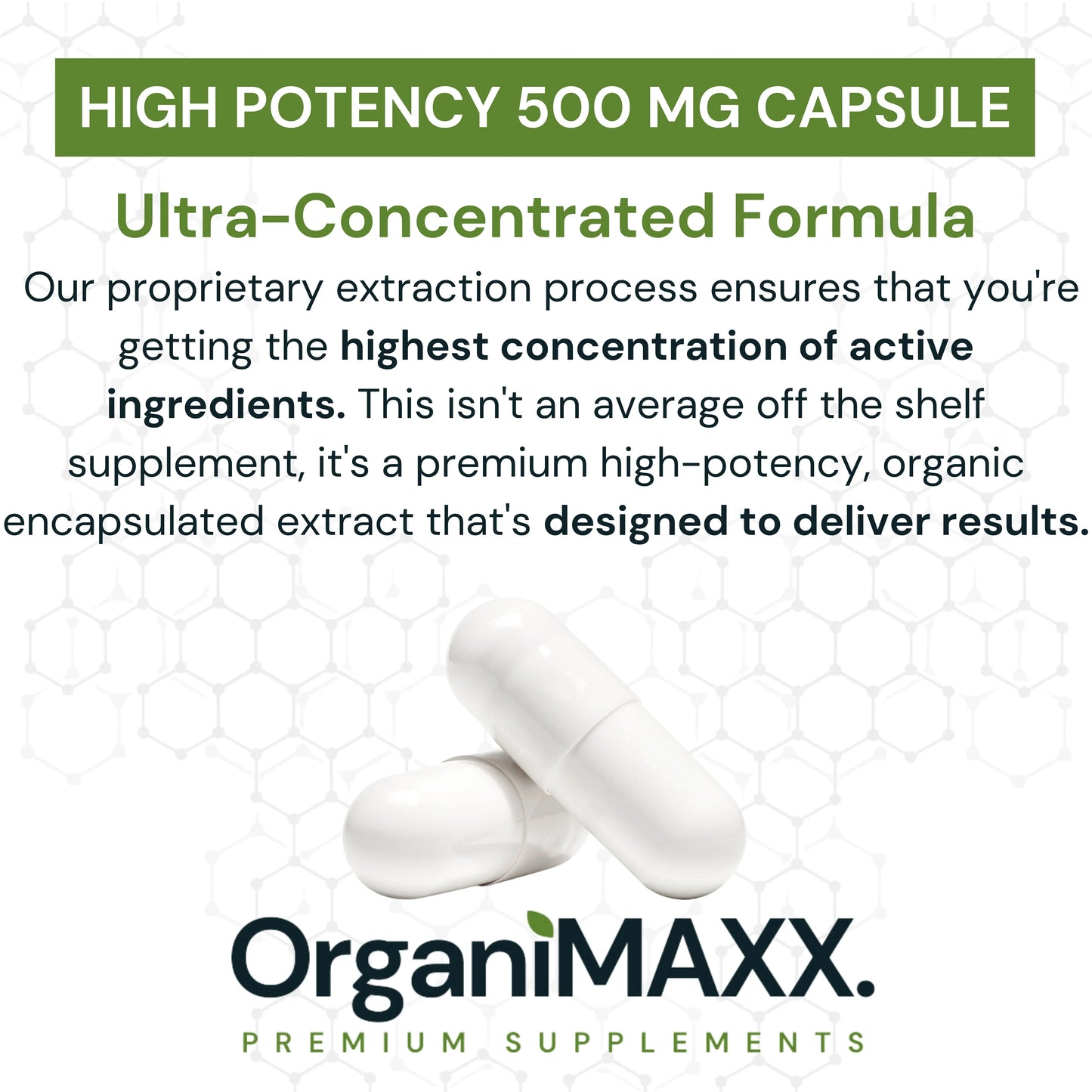 OrganiMAXX Certified Organic Bromelain Capsules 500 MG - 120 Count OrganiMAXX.