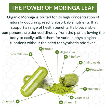 OrganiMAXX Moringa Leaf Capsules 1300 MG OrganiMAXX.