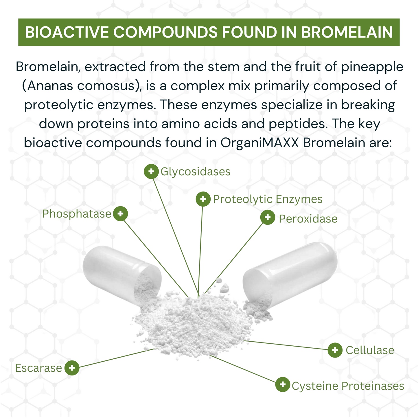 Bromelain 60 Count