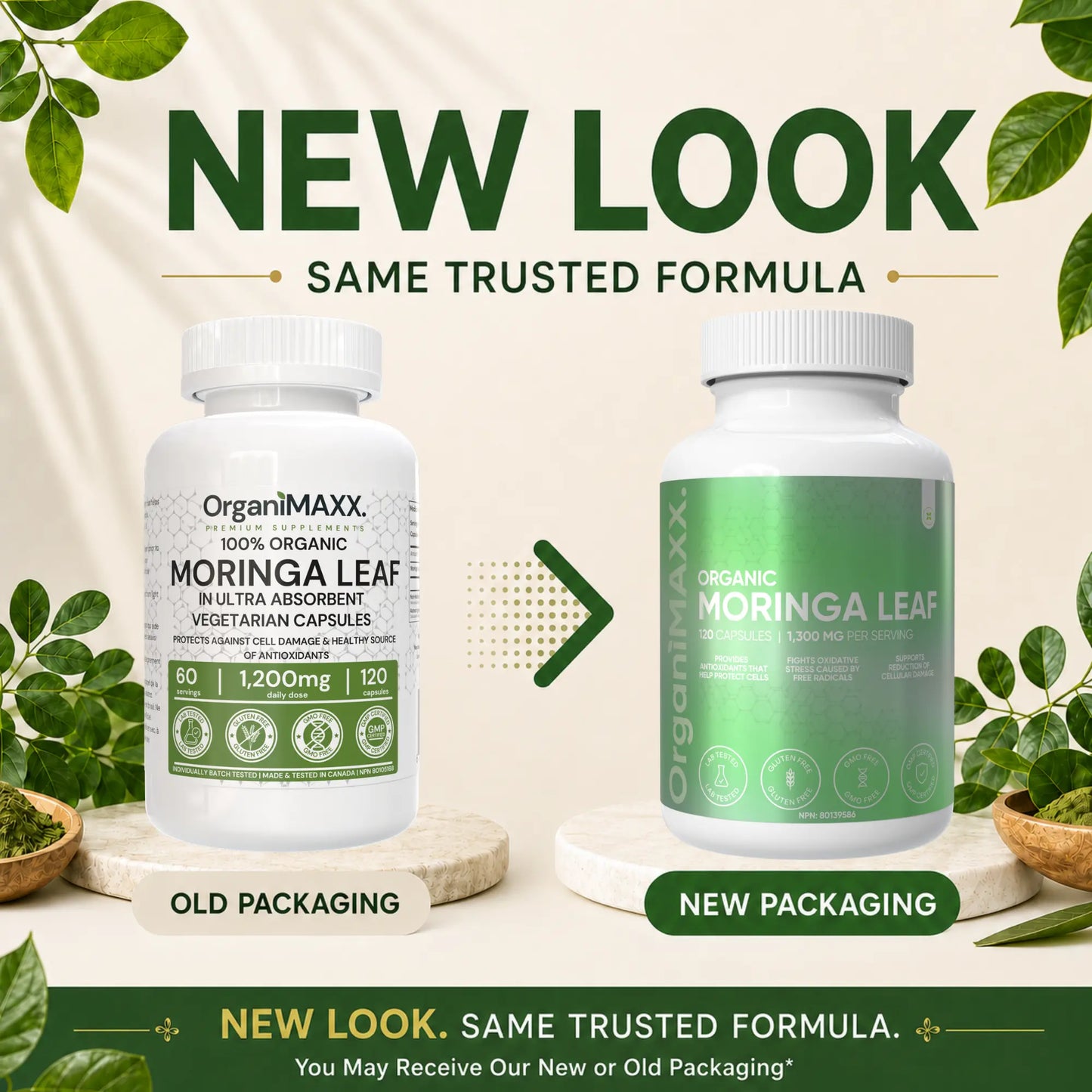 OrganiMAXX Certified Organic Moringa Leaf Capsules 1300 MG OrganiMAXX.