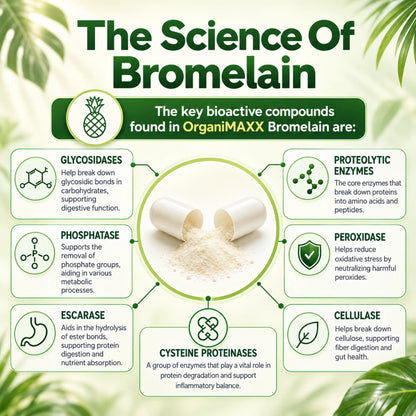 OrganiMAXX Bromelain Capsules 600 MG OrganiMAXX.