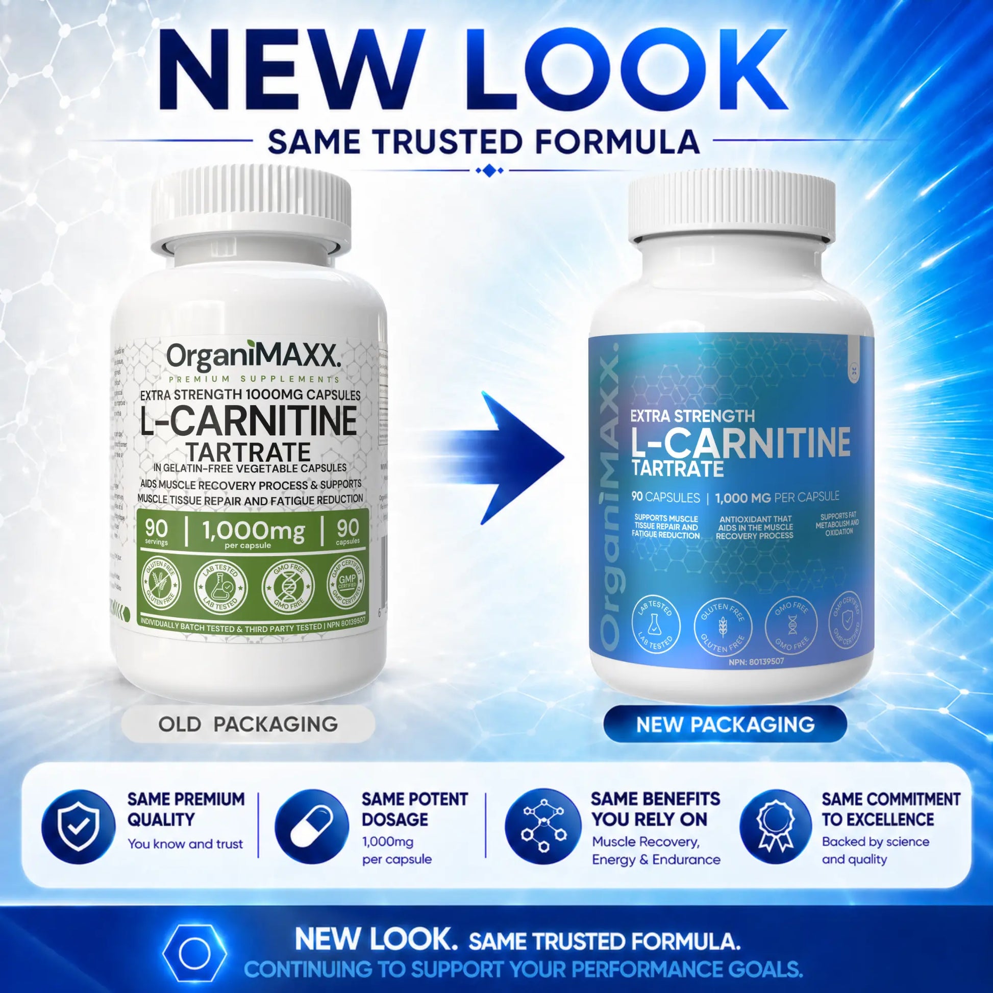 OrganiMAXX L Carnitine Double Dose 1,000 MG Capsules OrganiMAXX.