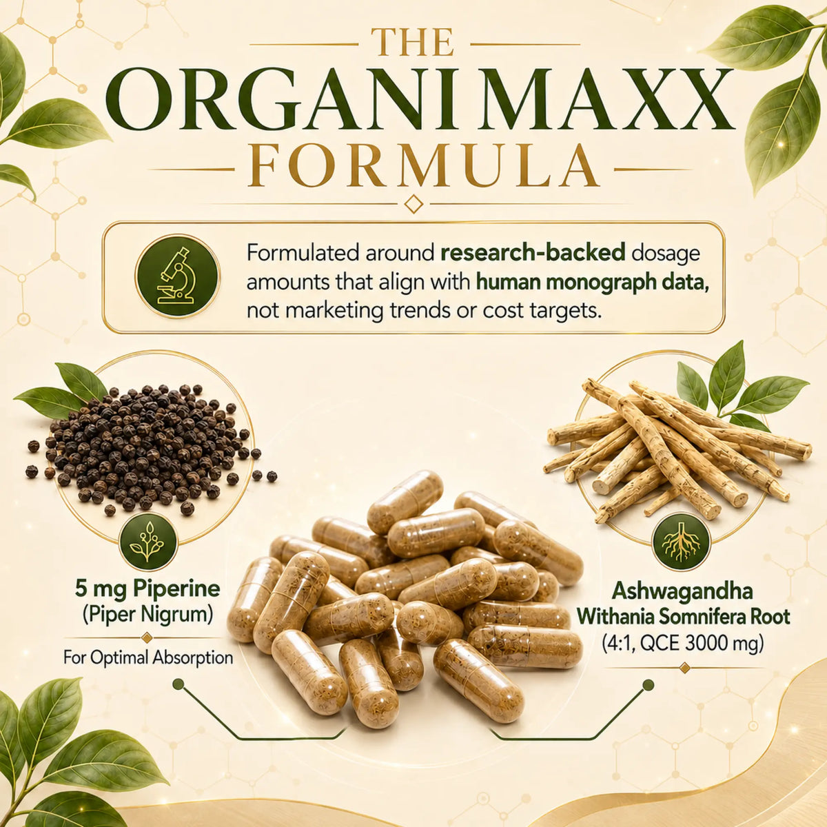 OrganiMAXX Ashwagandha 6X Strength 3,000 MG Capsules OrganiMAXX.