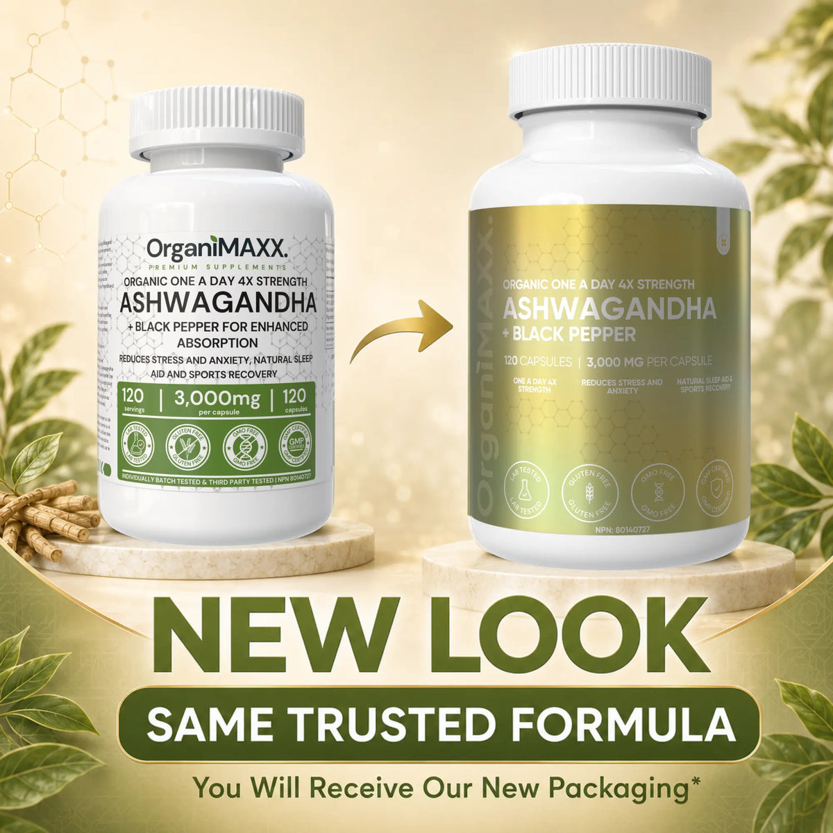 OrganiMAXX Ashwagandha 6X Strength 3,000 MG Capsules OrganiMAXX.