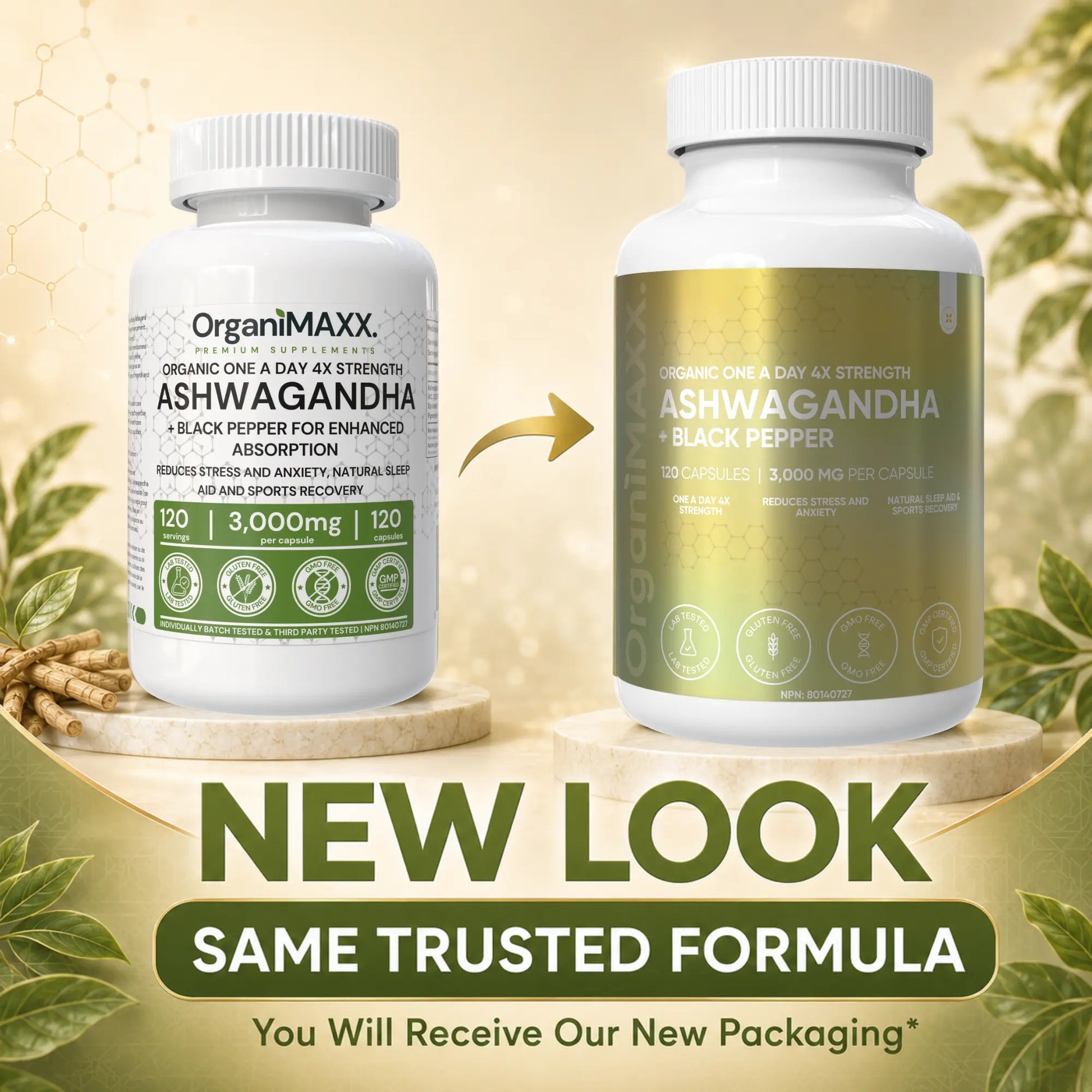 OrganiMAXX Ashwagandha 6X Strength 3,000 MG Capsules OrganiMAXX.