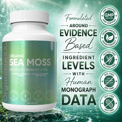 OrganiMAXX Certified Organic Irish Sea Moss Capsules 750 MG OrganiMAXX.