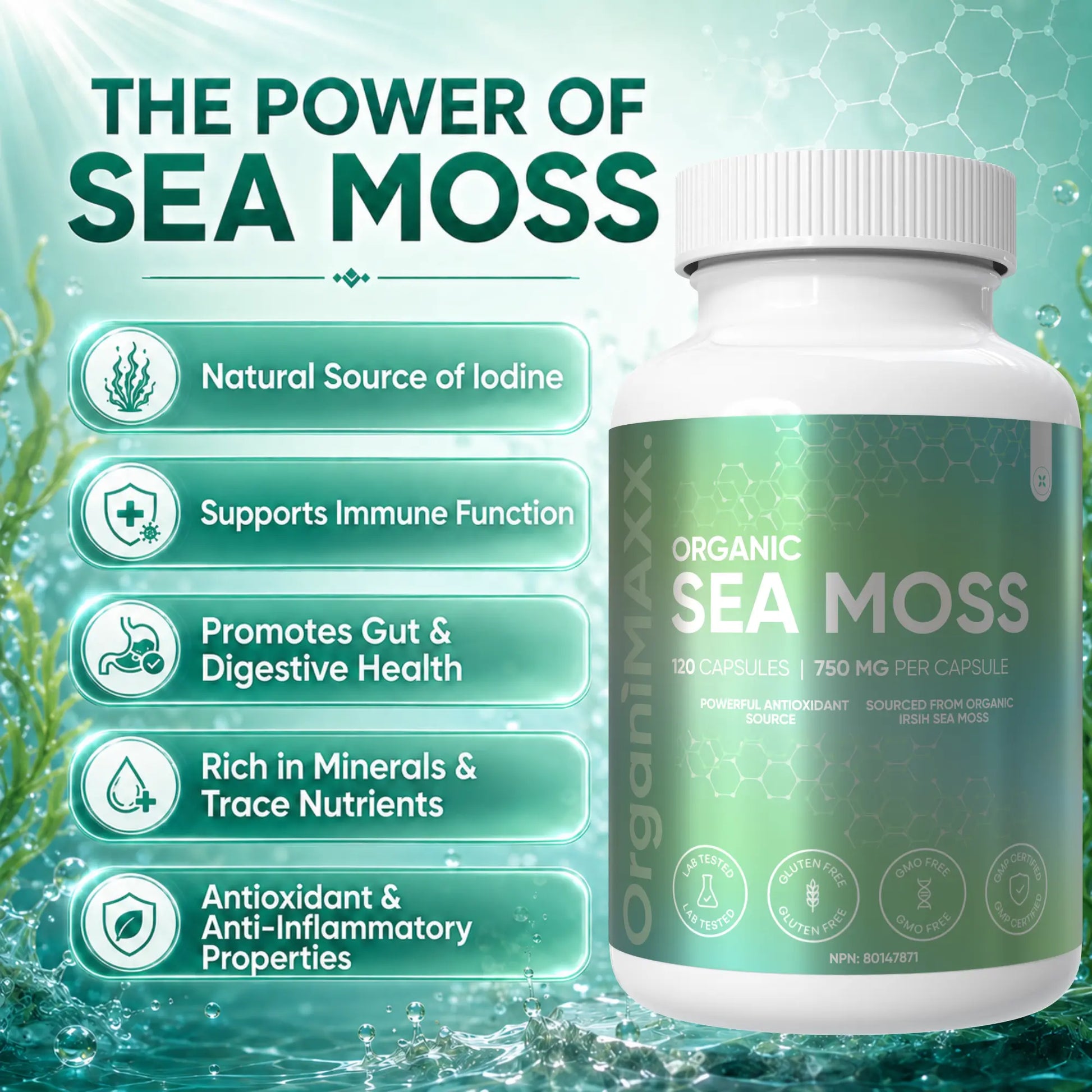 OrganiMAXX Certified Organic Irish Sea Moss Capsules 750 MG OrganiMAXX.