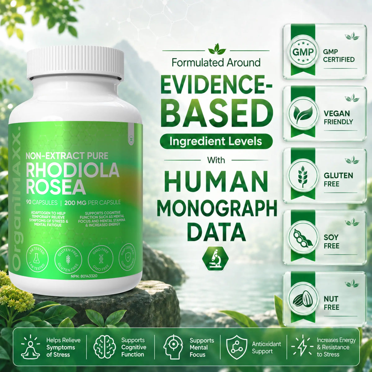 OrganiMAXX Rhodiola Rosea Capsules 200 MG OrganiMAXX.