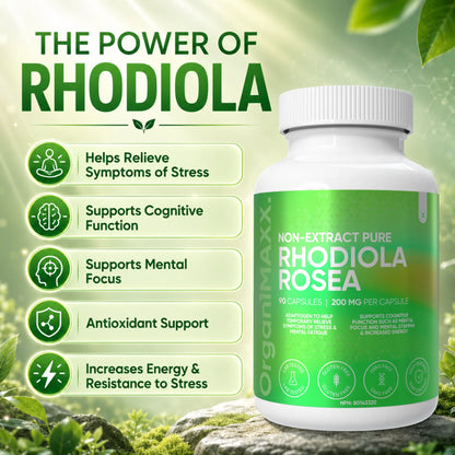 OrganiMAXX Rhodiola Rosea Capsules 200 MG OrganiMAXX.