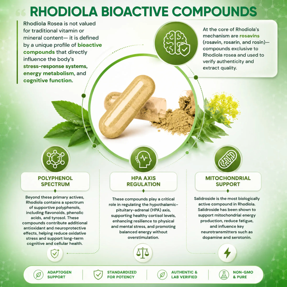 OrganiMAXX Rhodiola Rosea Capsules 200 MG OrganiMAXX.