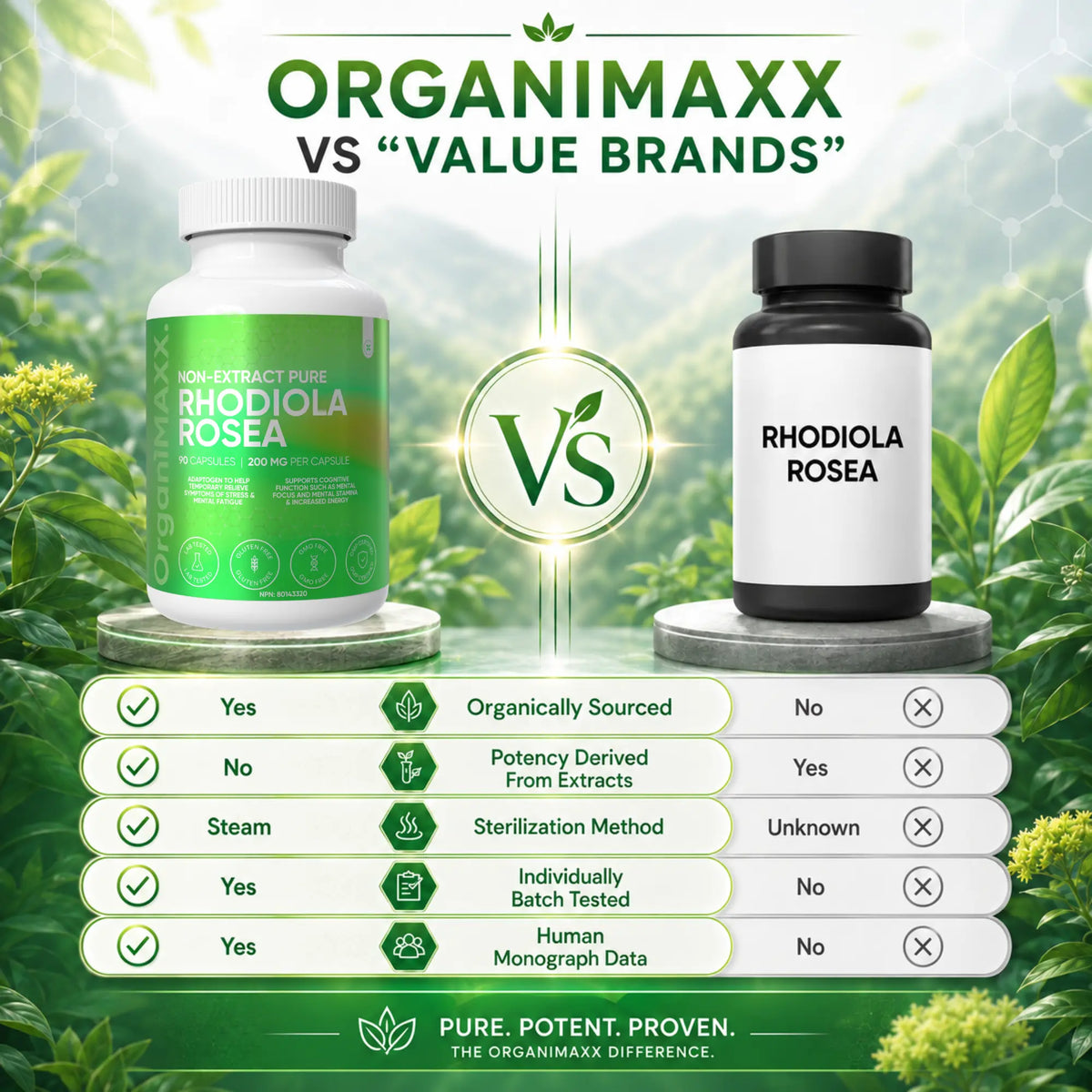 OrganiMAXX Rhodiola Rosea Capsules 200 MG OrganiMAXX.