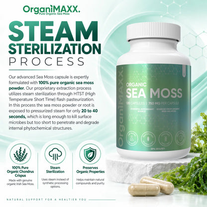 OrganiMAXX Irish Sea Moss Capsules 750 MG OrganiMAXX.