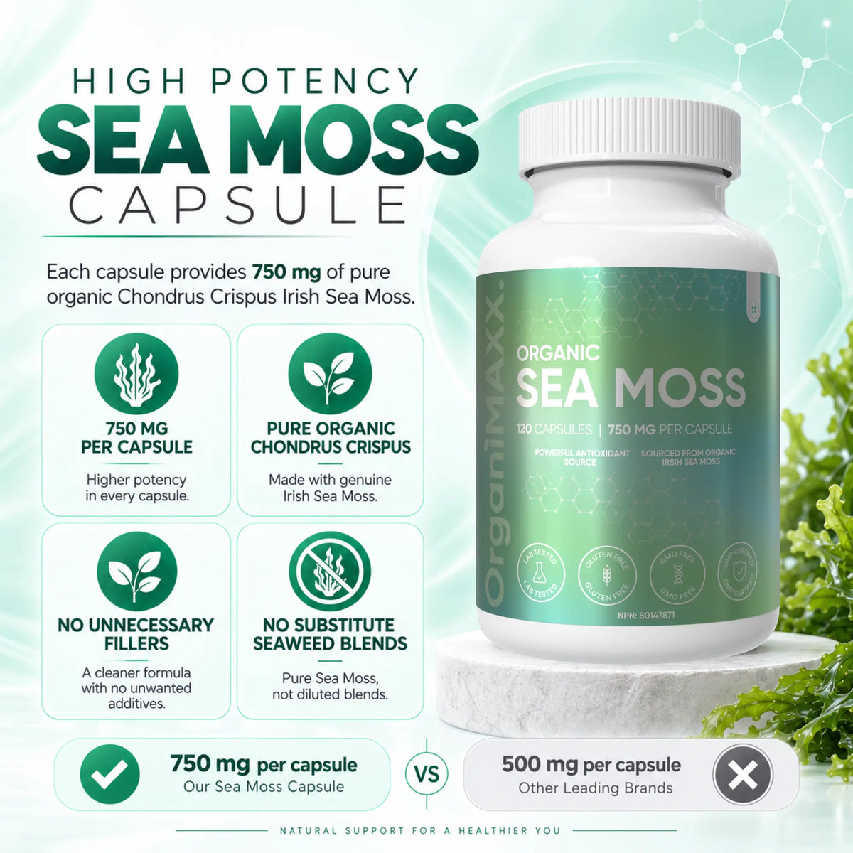 OrganiMAXX Irish Sea Moss Capsules 750 MG OrganiMAXX.