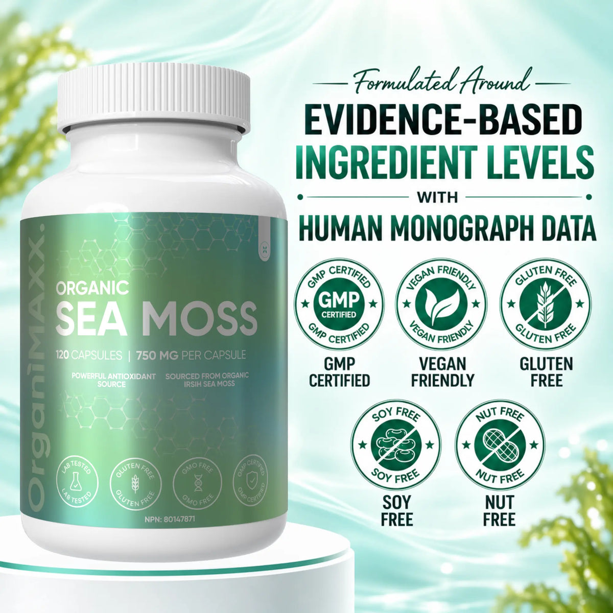 OrganiMAXX Irish Sea Moss Capsules 750 MG OrganiMAXX.