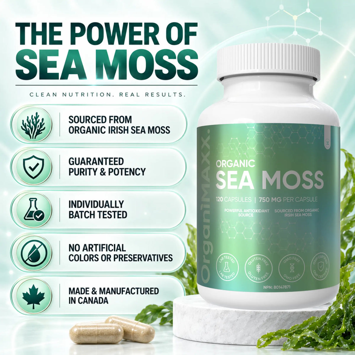 OrganiMAXX Irish Sea Moss Capsules 750 MG OrganiMAXX.
