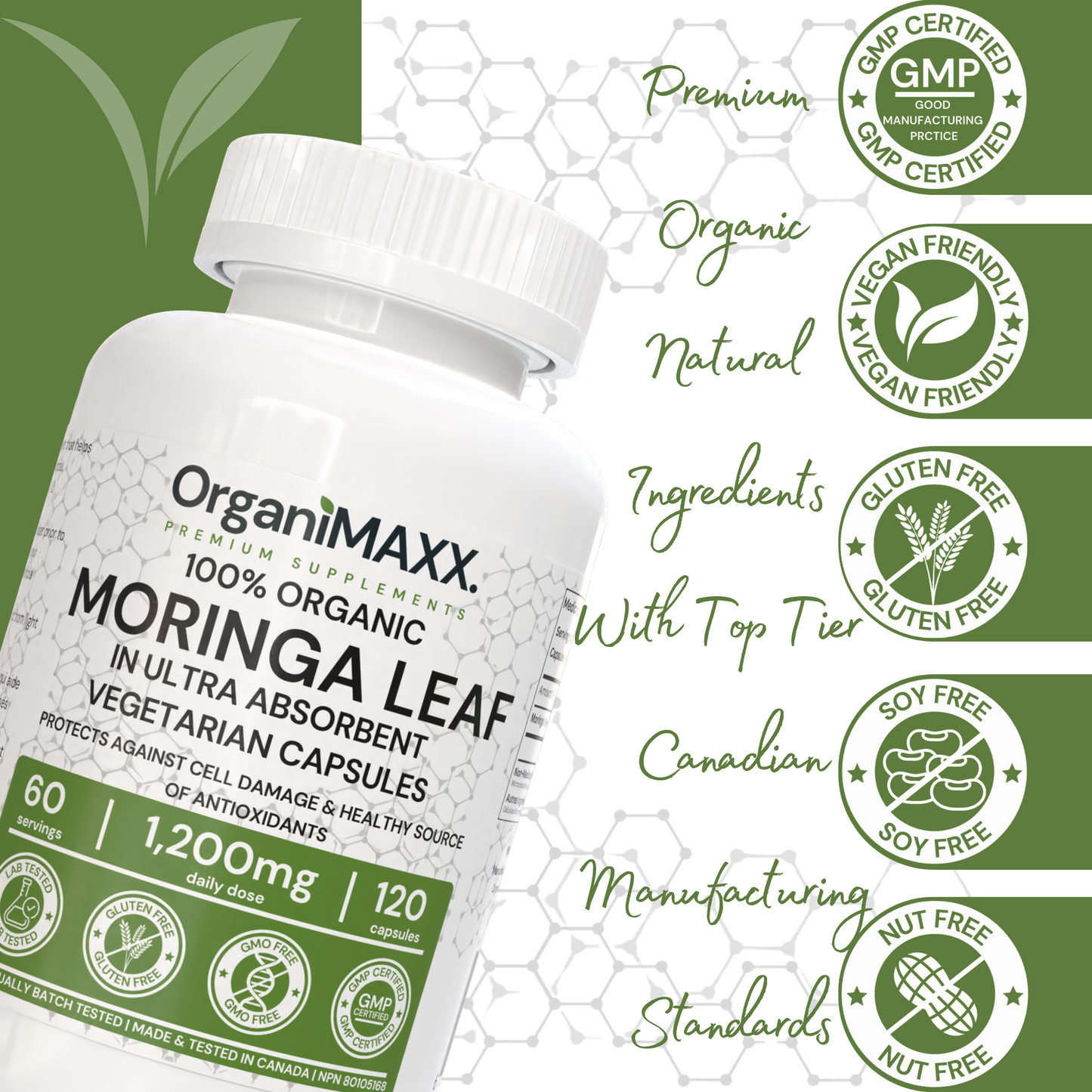 Moringa Leaf