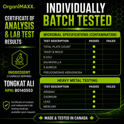 OrganiMAXX Tongkat Ali 600 MG Capsules OrganiMAXX.