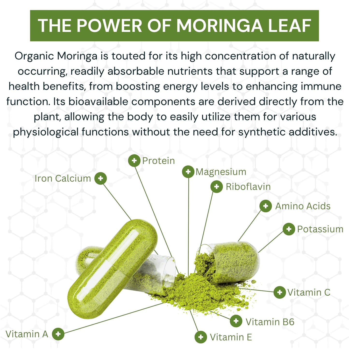 Moringa Powder OrganiMAXX best moringa canada