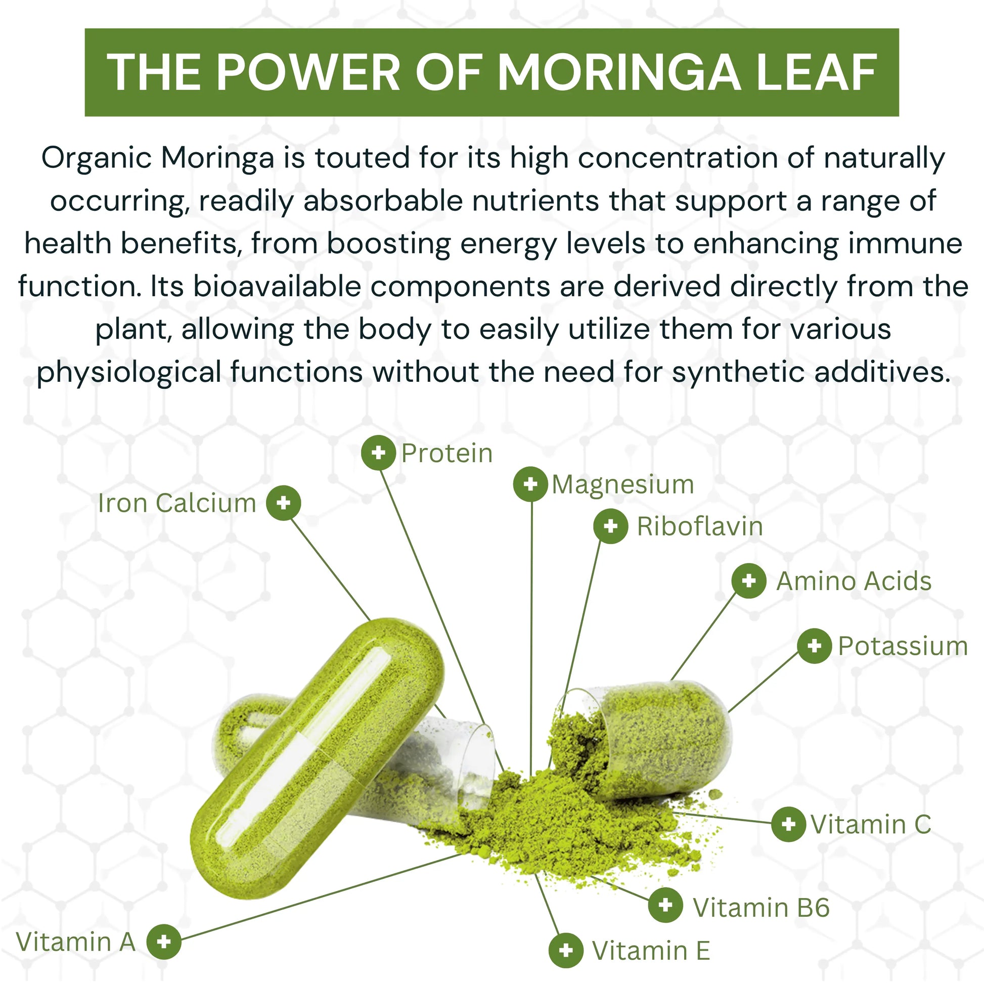 Moringa Powder OrganiMAXX best moringa canada