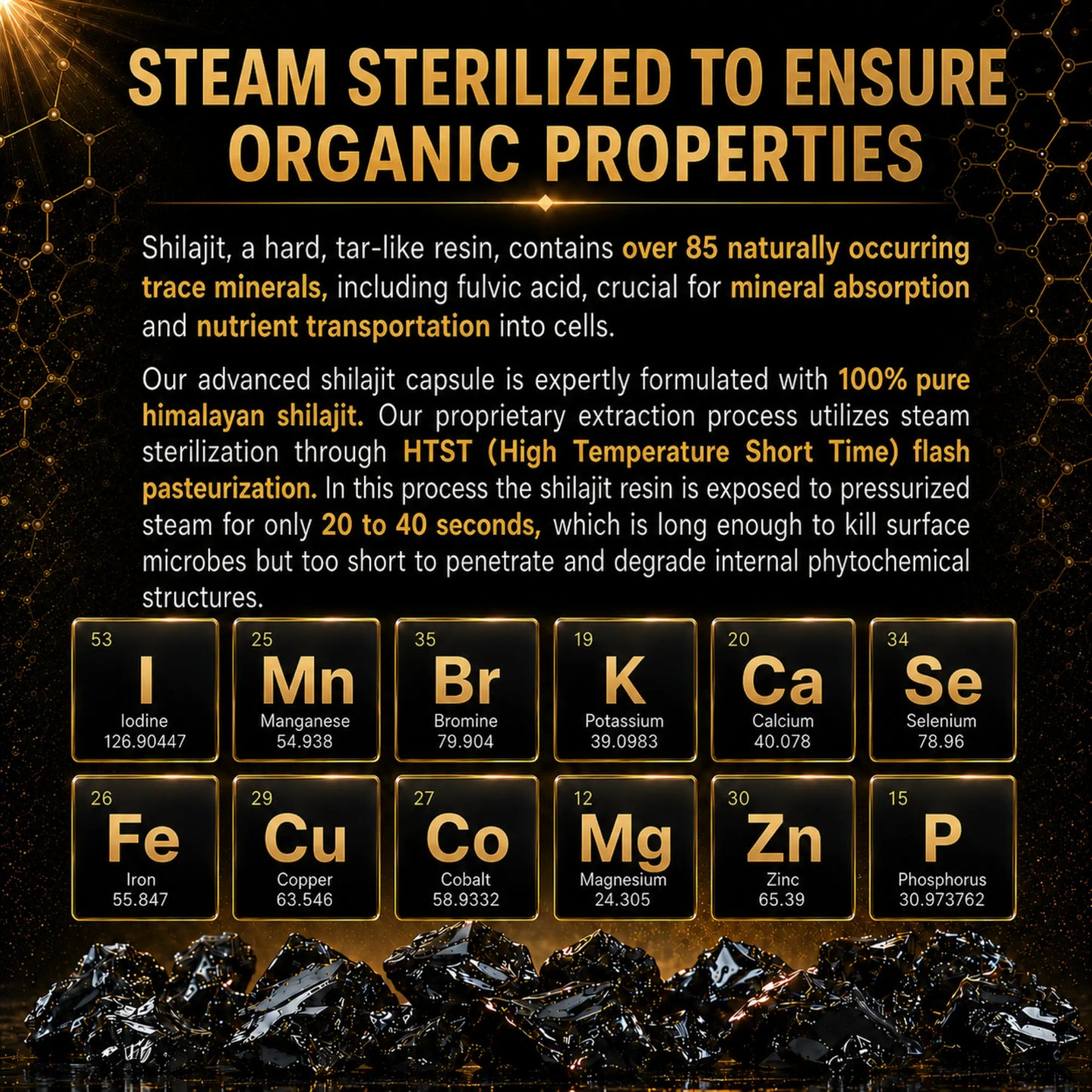 OrganiMAXX Pure Himalayan Shilajit Capsules OrganiMAXX.