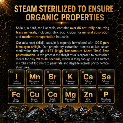 OrganiMAXX Pure Himalayan Shilajit Capsules OrganiMAXX.