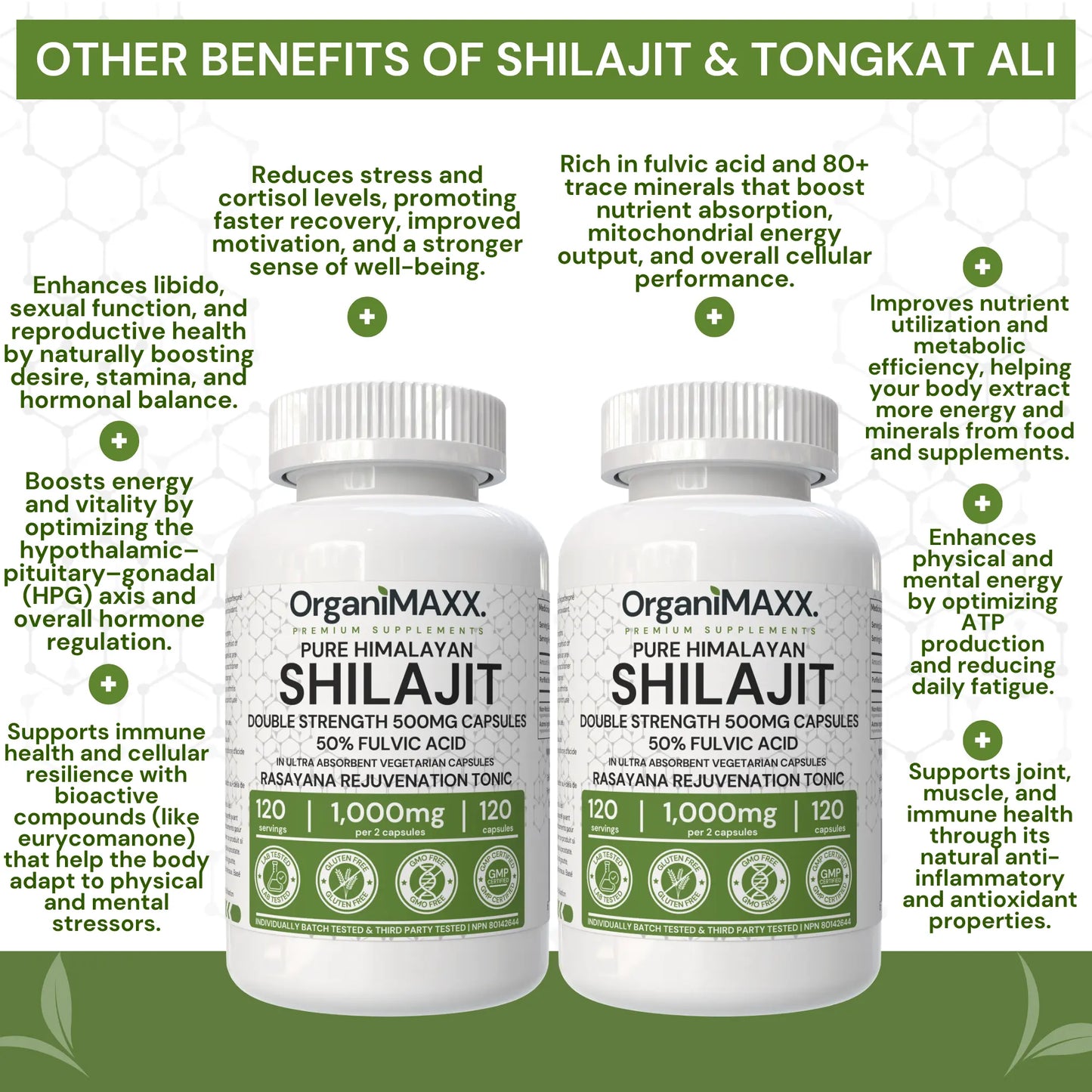 OrganiMAXX Double Strength Shilajit + Tongkat Ali Bundle Pack OrganiMAXX.