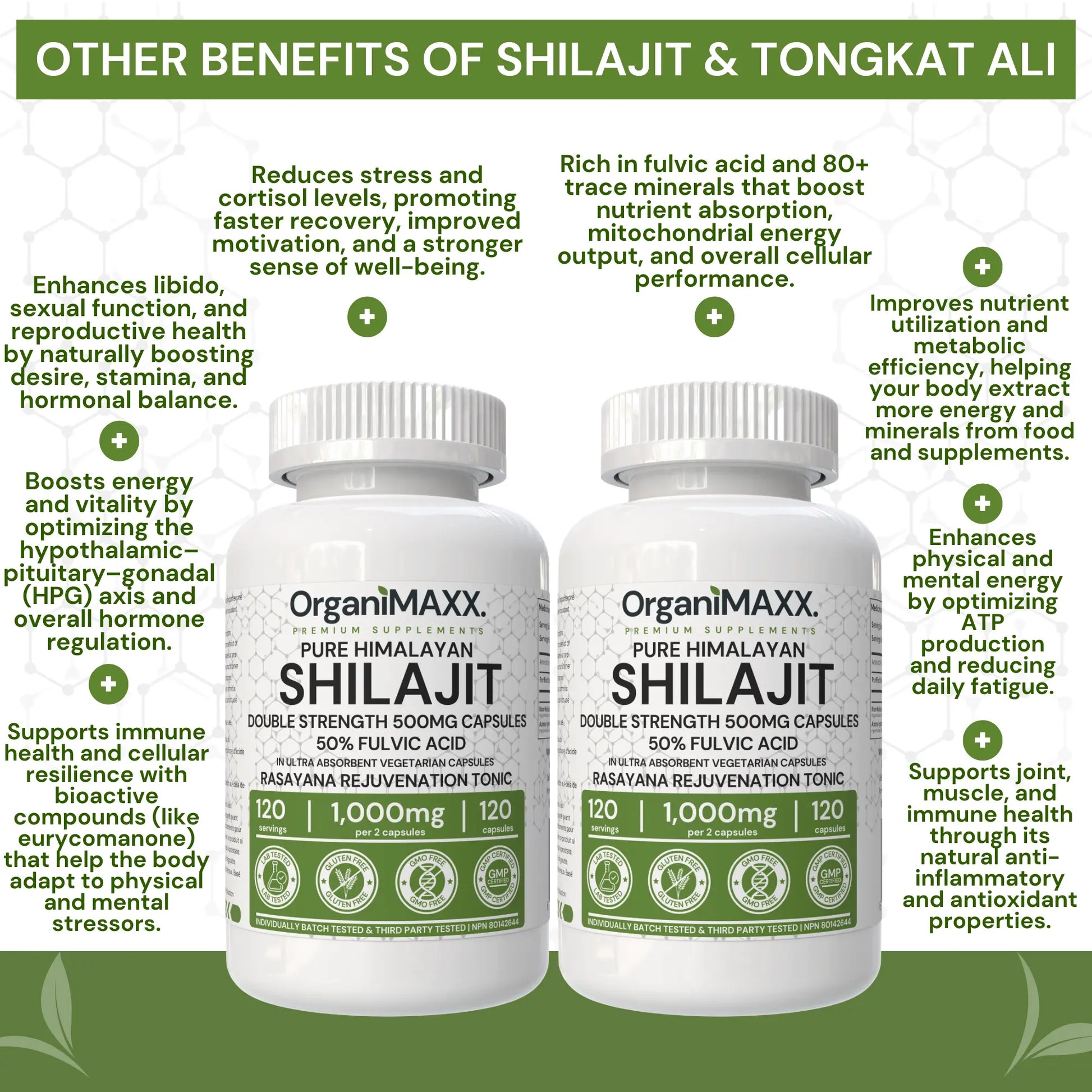 OrganiMAXX Double Strength Shilajit + Tongkat Ali Bundle Pack OrganiMAXX.