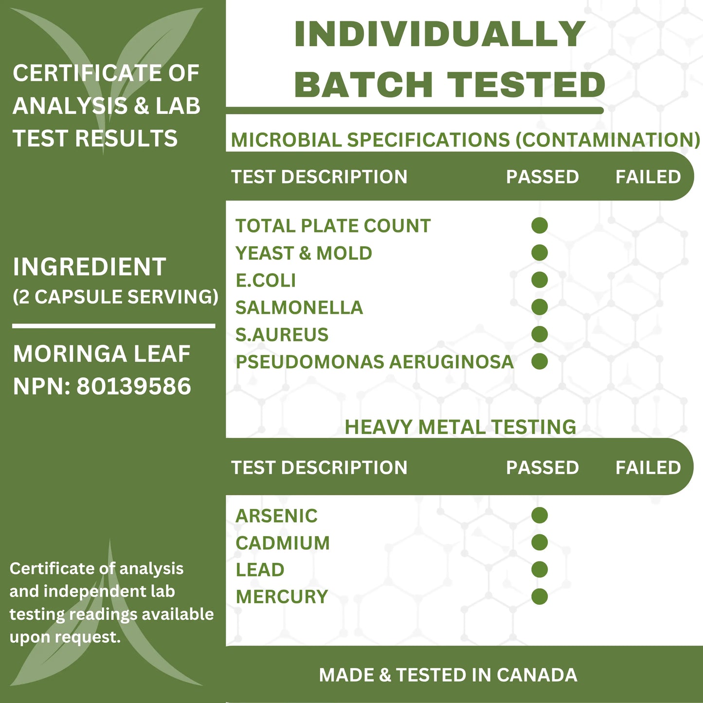 moringa powder organic organimaxx