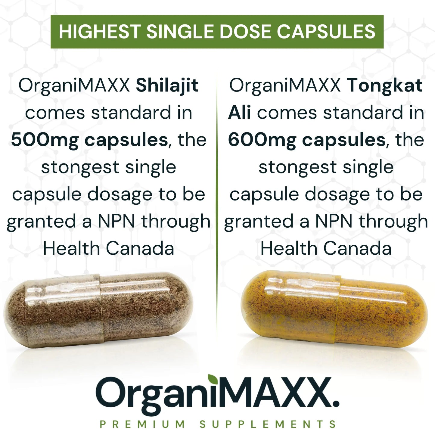 OrganiMAXX Double Strength Shilajit + Tongkat Ali Bundle Pack OrganiMAXX.