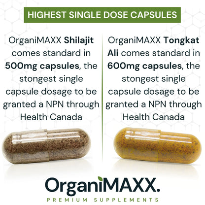 OrganiMAXX Double Strength Shilajit + Tongkat Ali Bundle Pack OrganiMAXX.