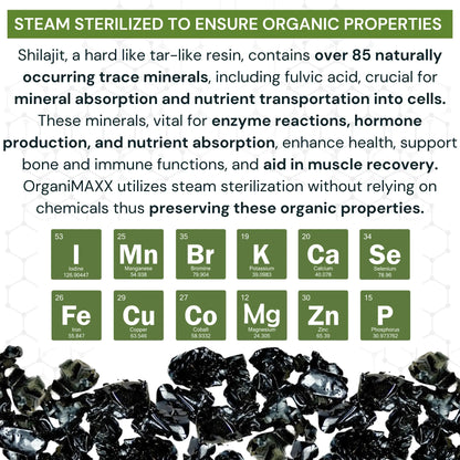 OrganiMAXX Pure Himalayan Organic Shilajit Double Dose Capsules OrganiMAXX.
