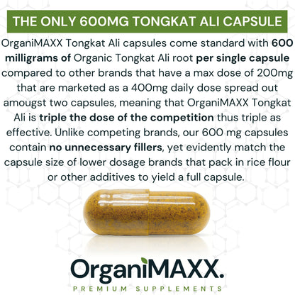 OrganiMAXX Tongkat Ali 600 MG Capsules - 60 Count OrganiMAXX.